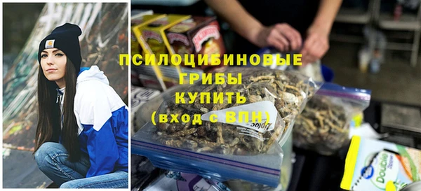 первитин Абинск