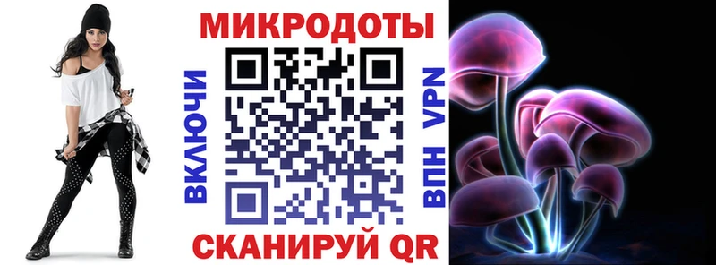 Галлюциногенные грибы Psilocybe Полтавская
